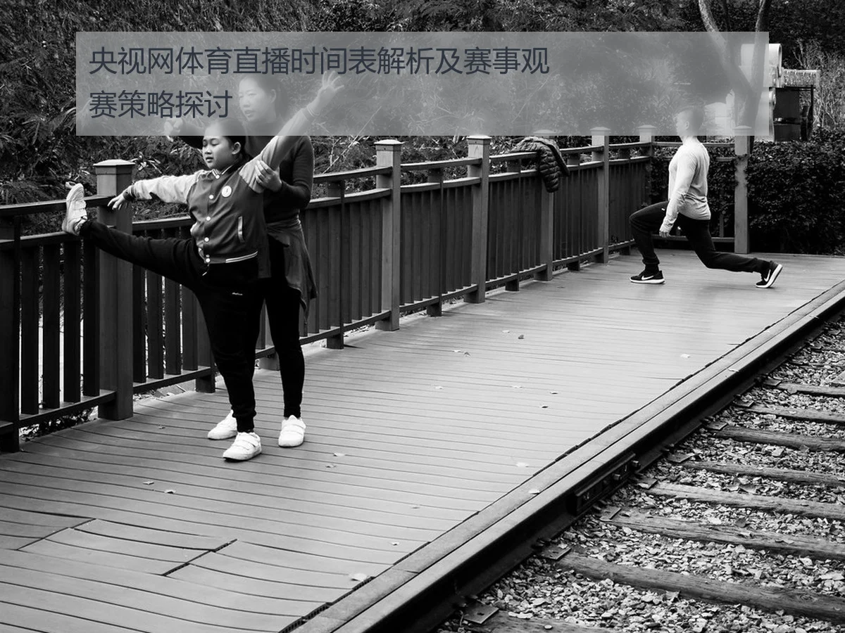 央视网体育直播时间表解析及赛事观赛策略探讨
